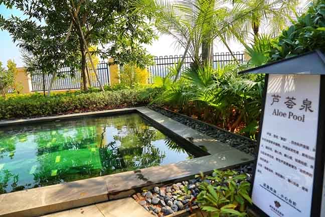 402永利集团夏季英德游(5)