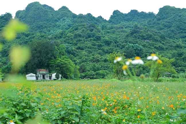 402永利集团夏季英德游(8)
